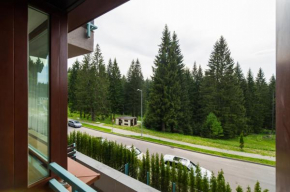 Loft Apartment Silver Mountain Braşov